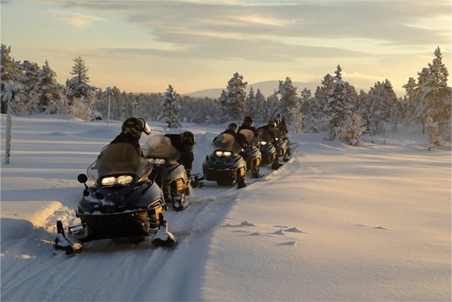 A group of snowmobile's exploring